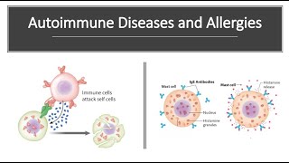 Immune Response Explained TCell Activation [upl. by Doloritas585]