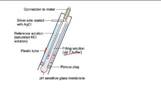 How a pH probe works [upl. by Ahsilam]