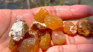 Finding Natural Chalcedony Carnelian Agate Gemstones At The Mountain [upl. by Annoiek654]