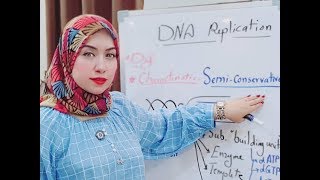 Molecular Biology Session5 DNA Replication Part I [upl. by Rukna]