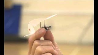 Worlds Smallest Radio Controlled Model Plane [upl. by Hamil287]