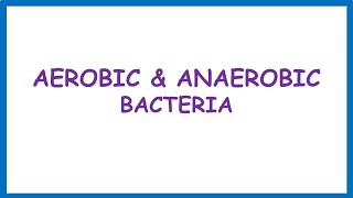 Aerobic amp Anaerobic Bacteria Lecture [upl. by Feledy655]