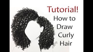 How to draw Curly Hair from start to finish tutorial [upl. by Meadows]