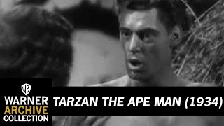 Clip  Tarzan the Ape Man  Warner Archive [upl. by Dnalor398]