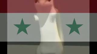 Suriye Milli Marşı النشيد الوطني السوري [upl. by Ellehcen3]