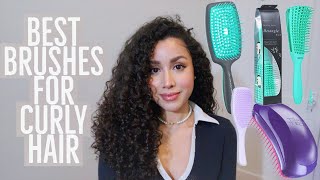 Best Detangling Brushes for Curly Hair [upl. by Nwotna683]