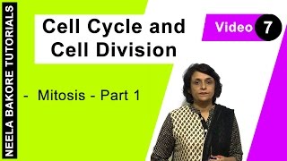 Cell Cycle amp Cell Division  NEET  Mitosis  Part 1  Neela Bakore Tutorials [upl. by Mychal]