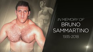 WWE pays tribute to Bruno Sammartino [upl. by Namor766]