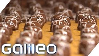 Herstellung der MiniPraline  Galileo  ProSieben [upl. by Amahcen937]