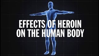 Science Behind Addiction Heroin [upl. by Saks695]