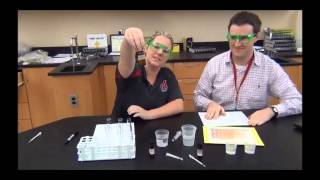 Enzyme lab introduction [upl. by Asirram593]