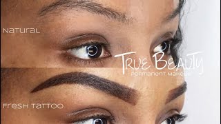 OMBRE BROW TATTOO UPDATE Permanent Eyebrows [upl. by Seagraves]