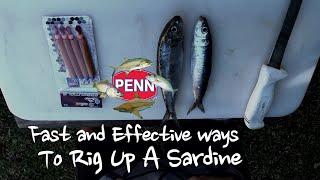 Fastest ways to Rig a sardine [upl. by Tenenbaum]