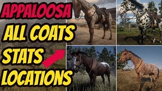 Red Dead Redemption 2 Appaloosa LOCATION amp ALL COATS amp STATS GOOD HORSE GUIDE [upl. by Tnomyar]