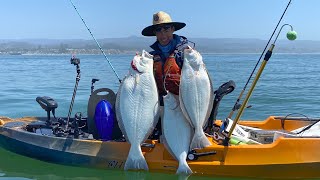 EPIC HALIBUT FISHING with the Boys Live bait [upl. by Edmonds109]