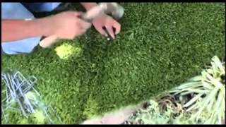 Artificial Grass Seaming Nails vs Glue [upl. by Essyle]