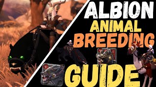 Kennels amp Pastures and How to GET STARTED  Albion Online [upl. by Windzer]