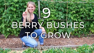 9 Types of Berry Bushes to grow in your Garden [upl. by Stout672]