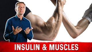 Does Low Carb and Low Insulin Cause Low Muscle Mass [upl. by Lleval]