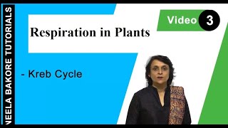 Respiration in Plants  NEET  Kreb Cycle  Neela Bakore Tutorials [upl. by Tompkins]