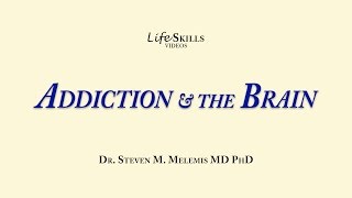 How addiction changes your brain [upl. by Yllak]