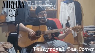 Nirvana  Pennyroyal Tea  Acoustic Cover [upl. by Ardnoet]