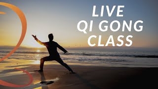 20Minute Live Qi Gong Class with Lee Holden [upl. by Hairaza686]