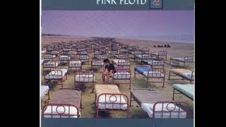 Pink Floyd  Sorrow backing track with vocals [upl. by Novehs]