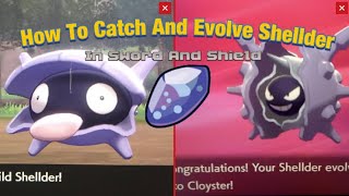 Where To Get Shellder And How To Evolve It Into Cloyster In Pokemon Sword And Shield [upl. by Jacqui]