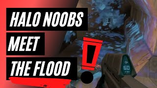 HALO noobs meet the flood FOR THE FIRST TIME  compilation [upl. by Arikahs833]