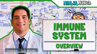 Immunology  Immune System Overview [upl. by Lorre]