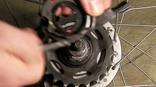 Shimano Nexus Alfine 78 Gear cassette Installing and adjusting [upl. by Siramay]