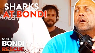 SHARKS at Bondi Beach  Top 5 Encounters [upl. by Ieppet865]