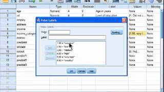 Spearman Correlation  SPSS part 1 [upl. by Broucek]