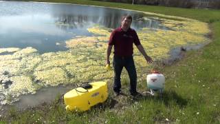 Controlling Algae in Farm Ponds [upl. by Rogovy]