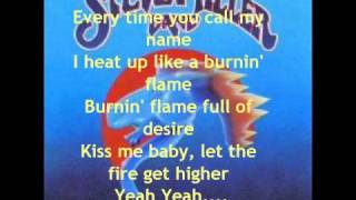 The Steve Miller Band  Abracadabra with lyrics [upl. by Ilahsiav203]