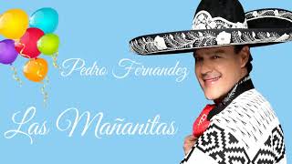 🎉 PEDRO FERNANDEZ 🎁 LAS MAÑANITAS PARA CUMPLIAÑERITOS [upl. by Irmina]