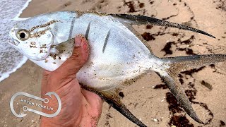 ONE OF THE BEST FISH WE HAVE EATEN  Palometa Catch and Cook [upl. by Cram]