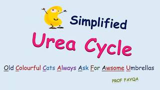 Urea Cycle Mnemonics [upl. by Ronica]