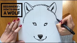 Beginners  How To Draw A Wolf [upl. by Pauli]