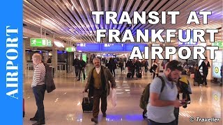 TRANSIT WALK AT FRANKFURT Airport FRA Terminal 1  Connection Flight Transfer Arriving amp Departing [upl. by Elbon]