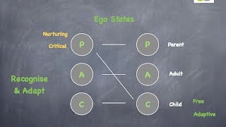 Bernes Transactional Analysis [upl. by Wallache]