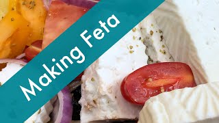 How to Make Feta at Home using Goats Milk Easy to Follow Steps [upl. by Eico]