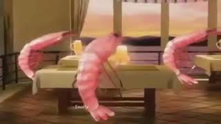 Shrimps Dancing with Beer [upl. by Artinad616]